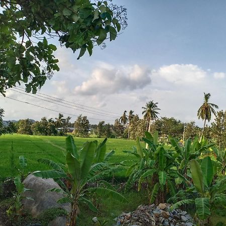 Gopi Plantation Homestay Хампи Экстерьер фото