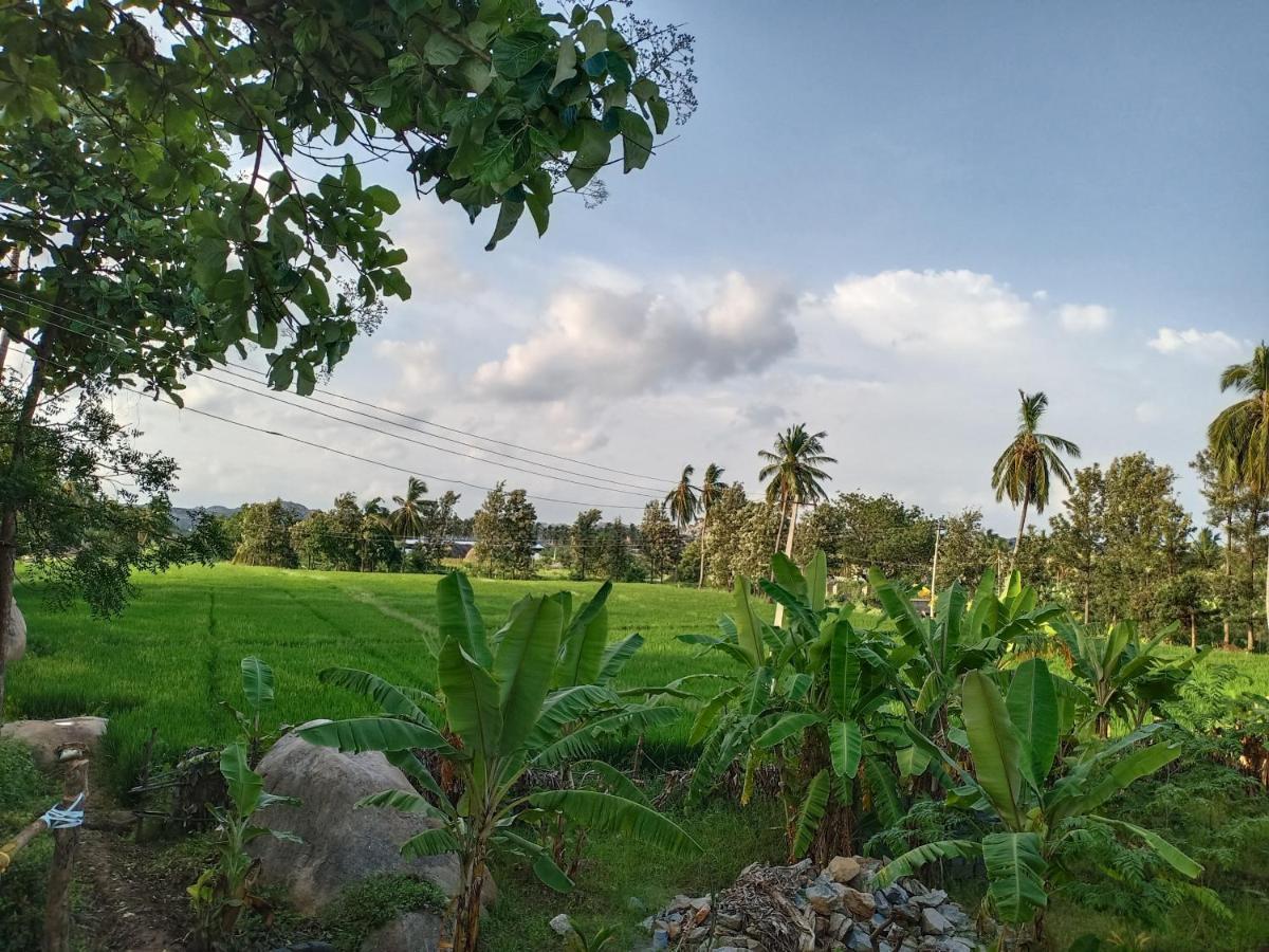 Gopi Plantation Homestay Хампи Экстерьер фото