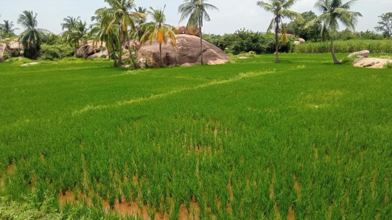 Gopi Plantation Homestay Хампи Экстерьер фото