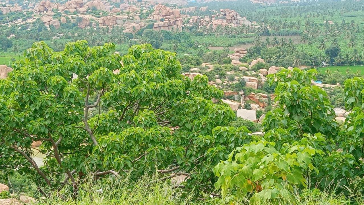 Gopi Plantation Homestay Хампи Экстерьер фото