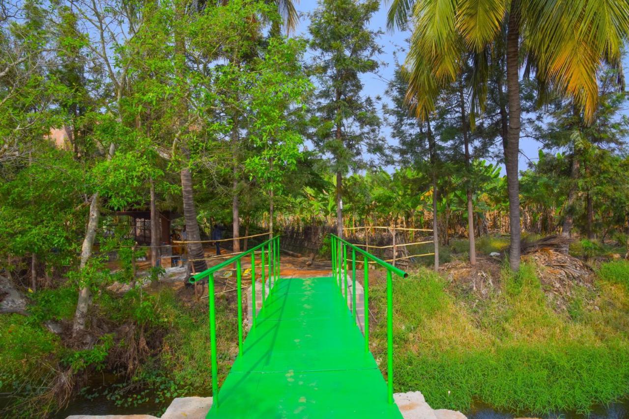 Gopi Plantation Homestay Хампи Экстерьер фото